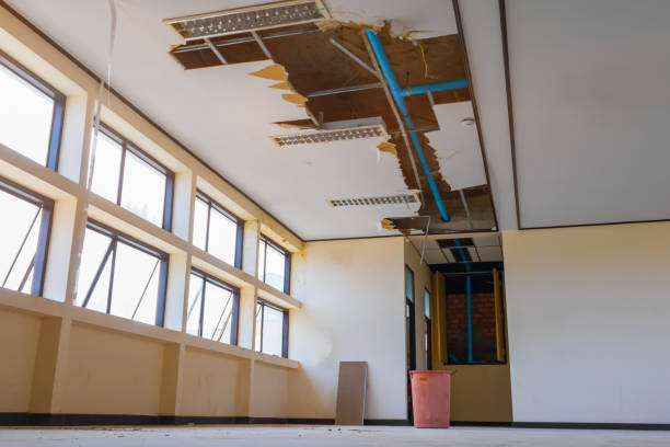 Best Carpet water damage restoration  in Westwood, KY