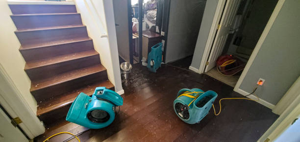 Best Flood damage cleanup  in Westwood, KY