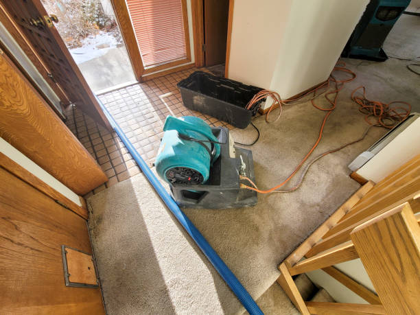Best Emergency water damage restoration  in Westwood, KY