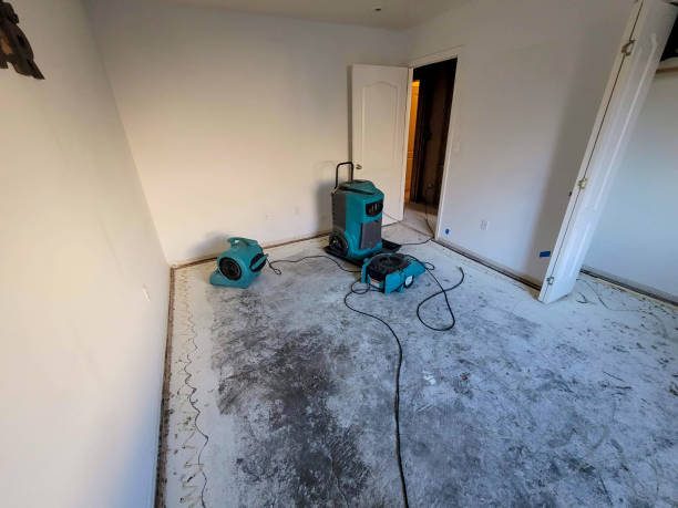 Best Flooded house restoration  in Westwood, KY