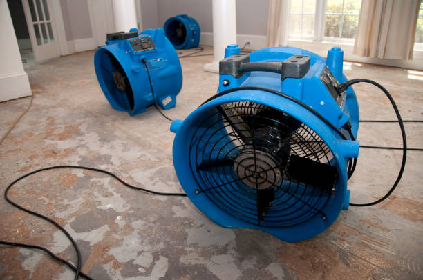 Best Sewage cleanup and water damage restoration  in Westwood, KY