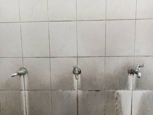 Best Water damage contractors near me  in Westwood, KY