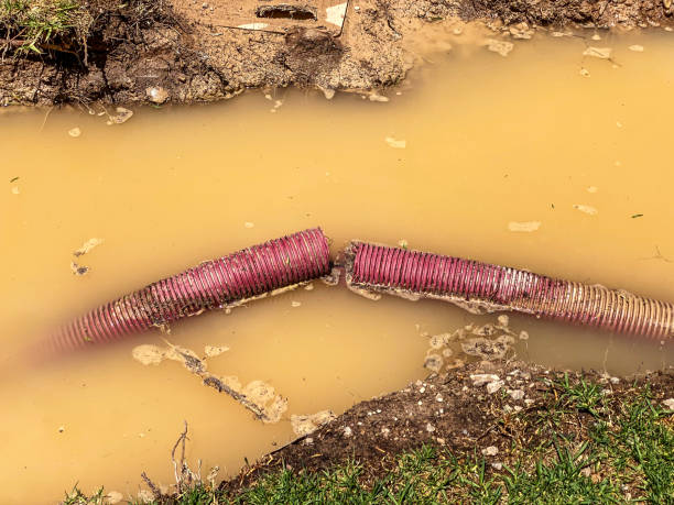  Westwood, KY Water damage restoration Pros